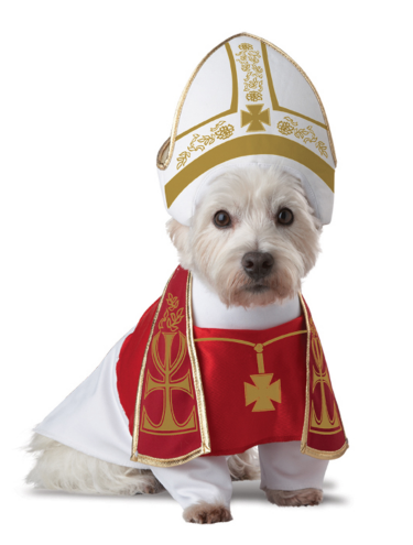 Papă dog Halloween costume