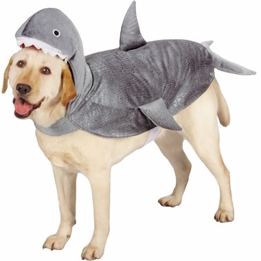 Rechin dog Halloween costume