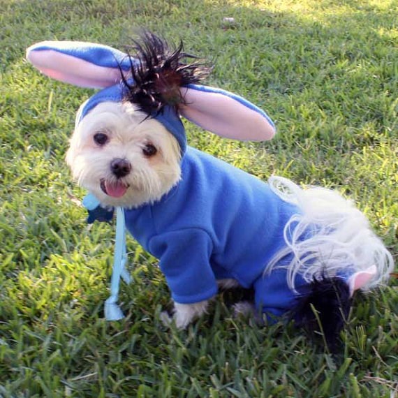 Eeyore dog Halloween costume