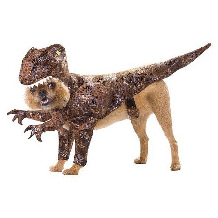 Dinozaur dog Halloween costume