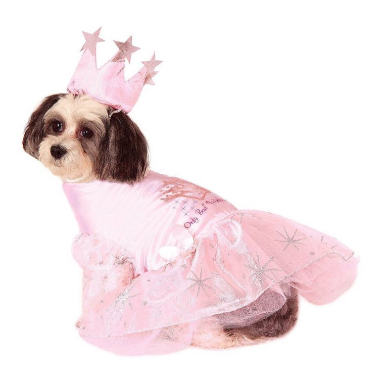 Glinda dog Halloween costume