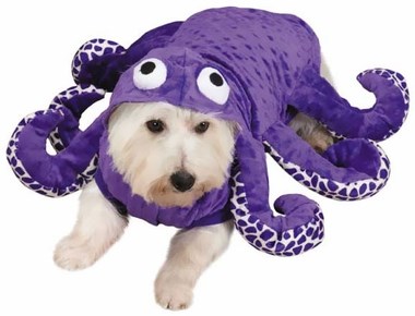 Caracatiță dog Halloween costume