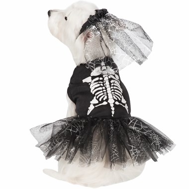 Schelet dog Halloween costume