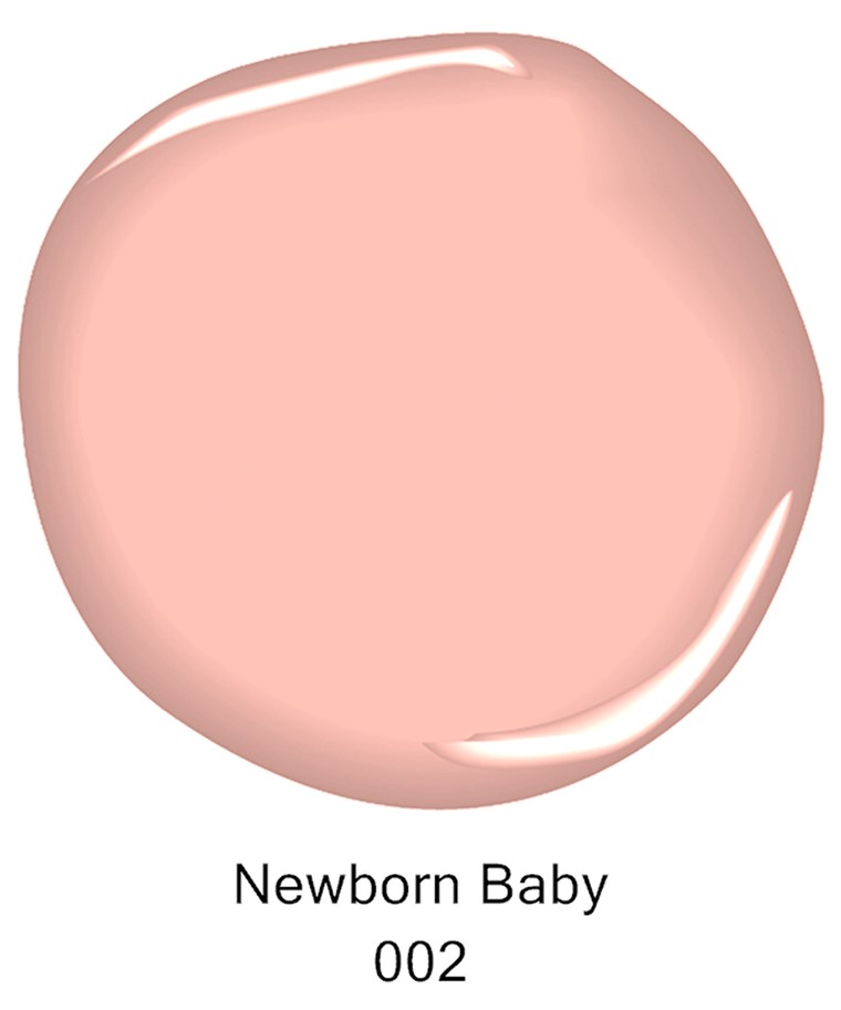 Benjaminas color chip Newborn baby