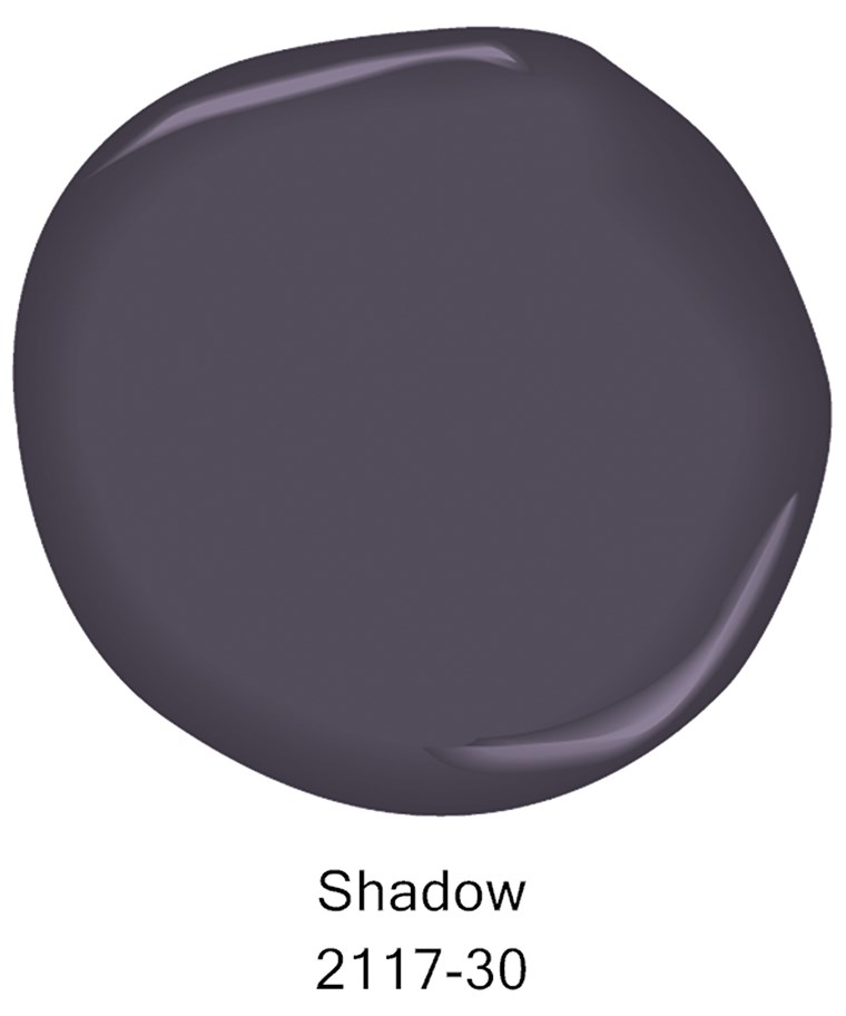 Benjaminas color chip Shadow
