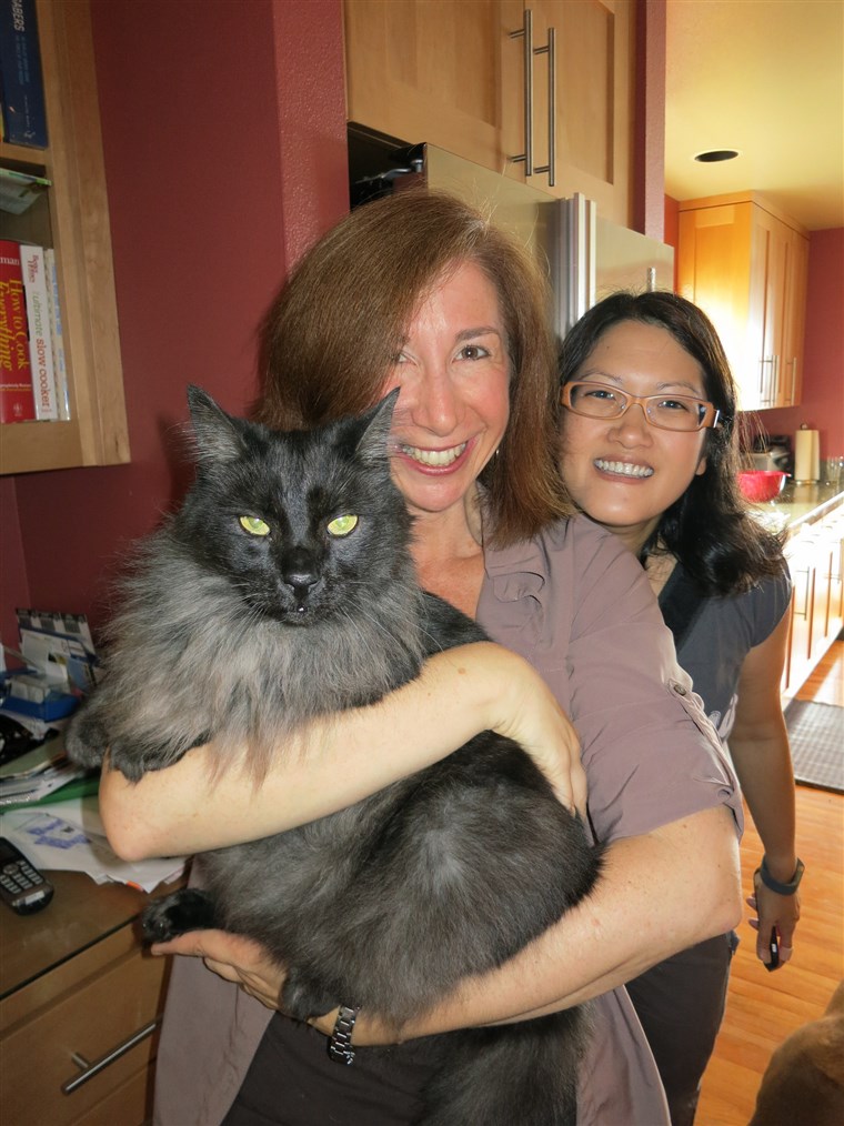 Laura Coffey, Athima Chansanchai and Diego the cat