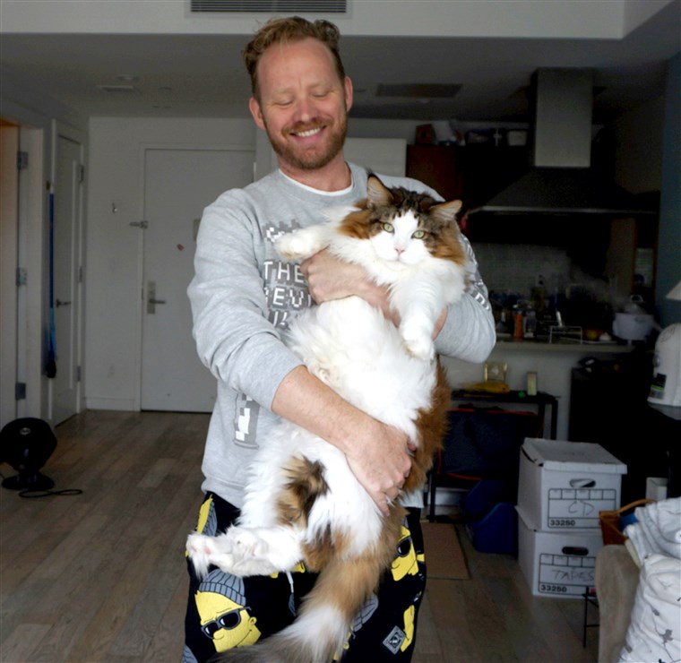 Самсон, the largest cat in New York City