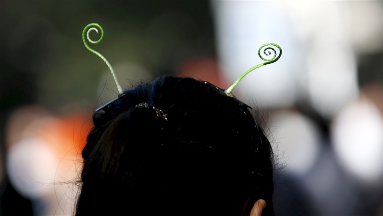 en woman wearing sprout-like hairpins in Beijing