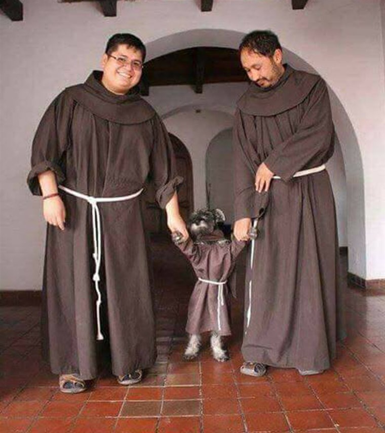 Från stray dog to monastery resident
