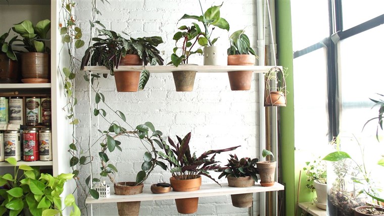 Oakes' makes the most of her limited space by building low-cost projects like this vertical swing garden.