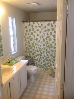  master bathroom before the makeover.