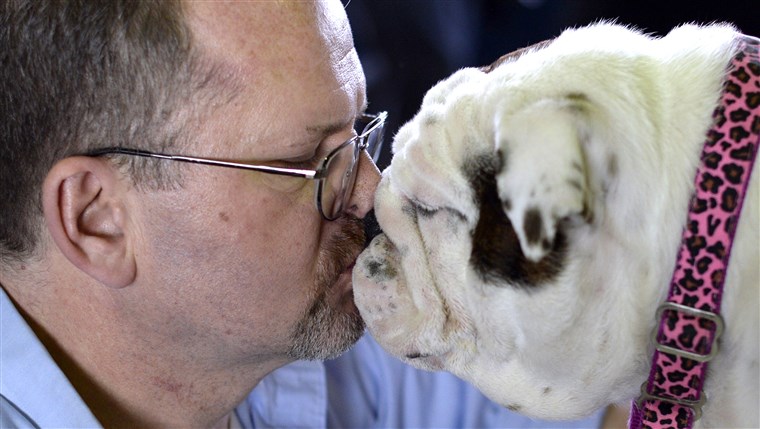 Dennis Murphy and his bulldog Brooklyn share a kiss at the 138th Annual Westminster Kennel Club Dog Show.