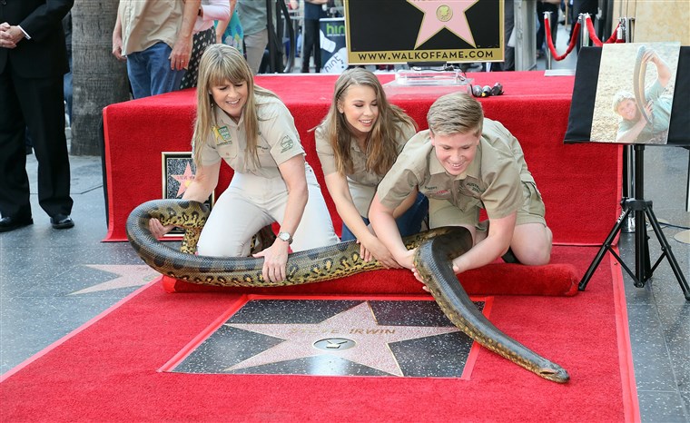 Bild: Steve Irwin Honored Posthumously With Star On The Hollywood Walk Of Fame