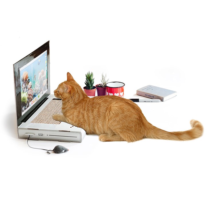 Nešiojamas kompiuteris Cat Scratching Pad