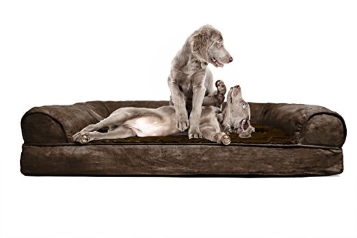 FurHaven Orthopedic Dog Couch