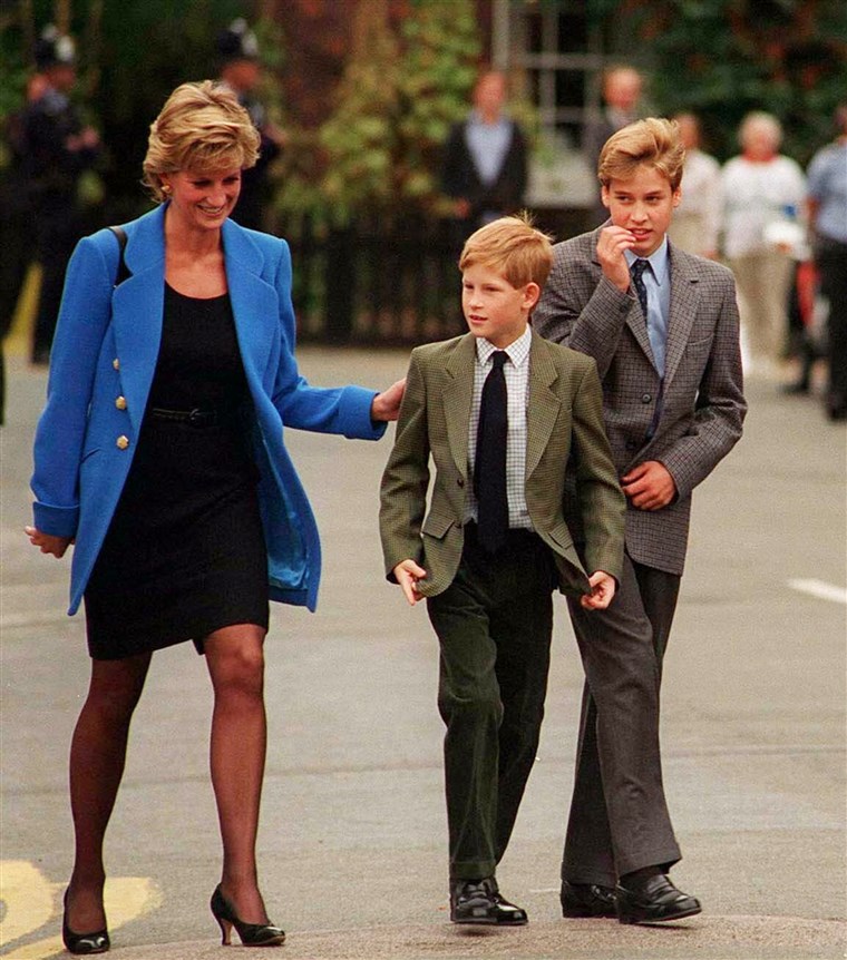 Prins William with Princess Diana and brother Prince Harry