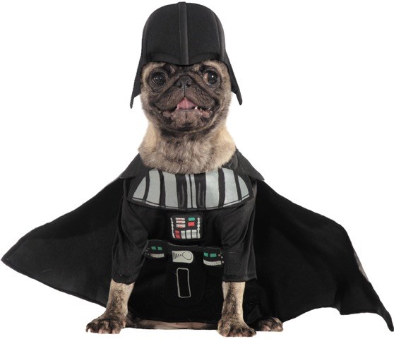 Personažai from Star Wars: The Force Awakens are popular pet costumes