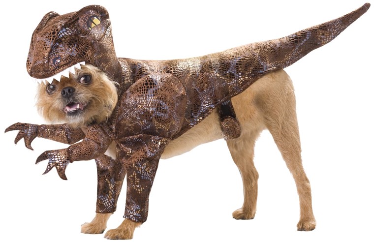 Šunys can blend into Jurassic World with these dinosaur halloween pet costumes