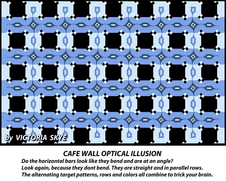  latest viral optical illusion!