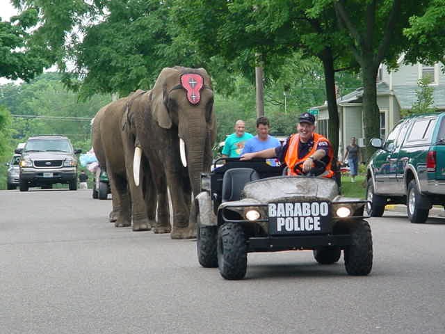 Elefant walks down street in parade