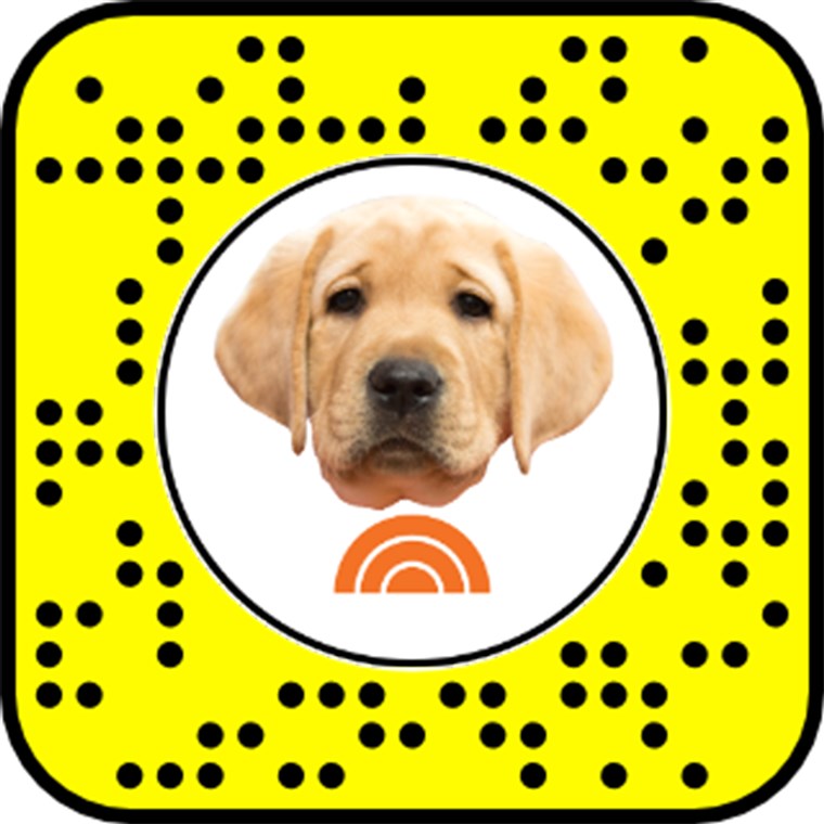 descuia the TODAY Puppy Snapchat Lens